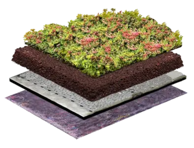 Klassisches Gründach (Menu-Image)