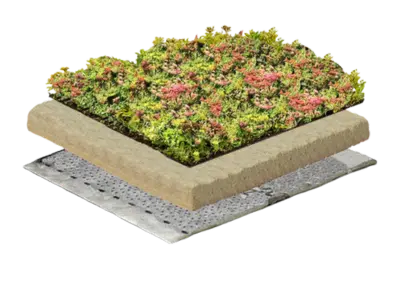 Gründach Leicht (Menu-Image)